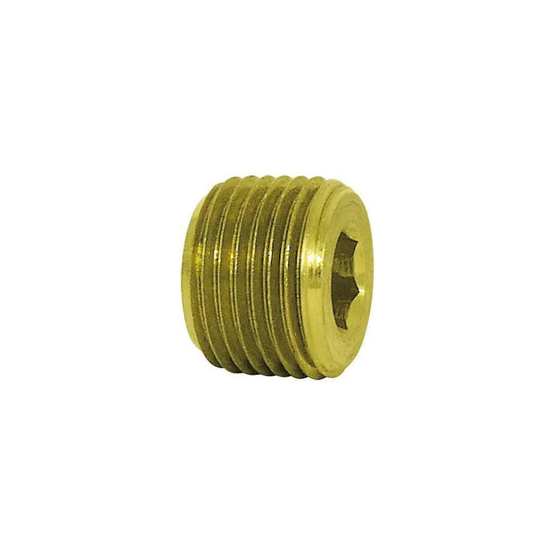 Brass Hex Socket Plug