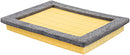 PA4167 Air Filter